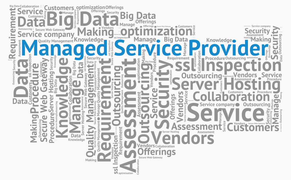 What does a Managed Service Provider do?